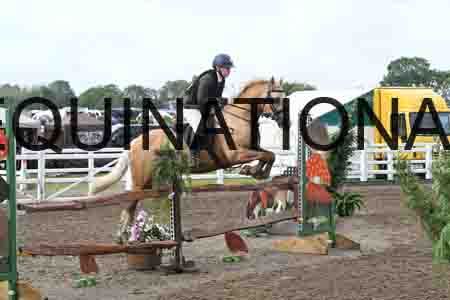 1_SYX-1165