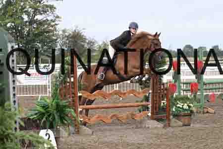 1_SYX-1172