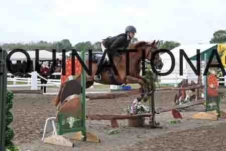 1_SYX-1174