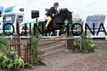 1_SYX-1181