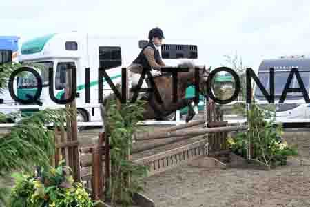 SYX-1303