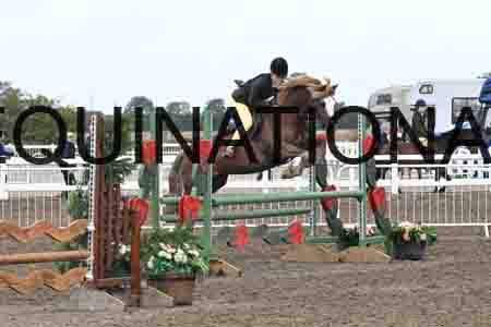 SYX-1343