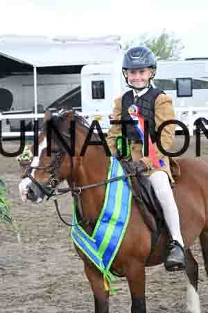 SYX-1631