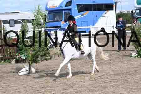 SYX-1678