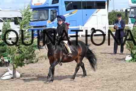 SYX-1712