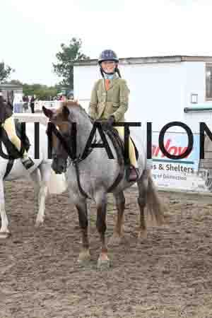 SYX-1965
