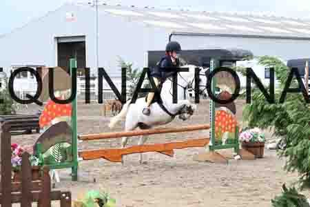 SYX-2009