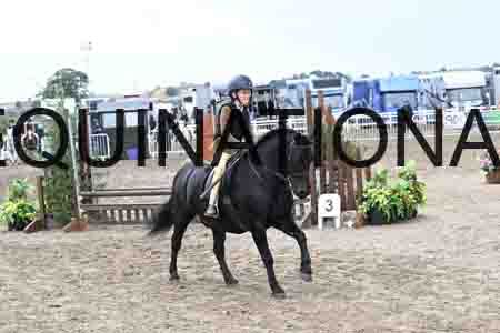SYX-2010