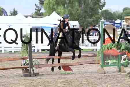 SYX-2012