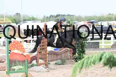 SYX-2014