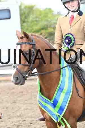 SYX-2187