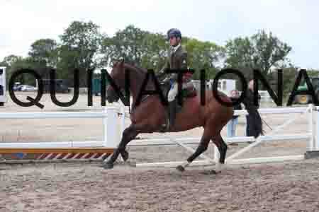 VIN-1541