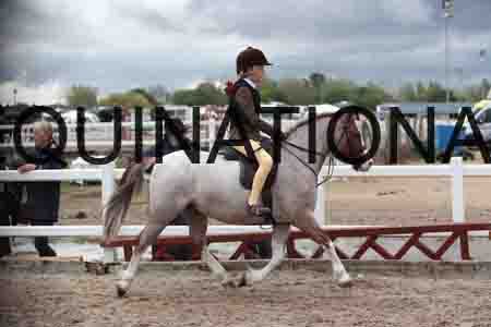 VIN-1569