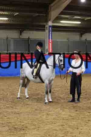 JLY-1029