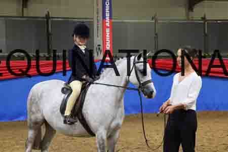 JLY-1032