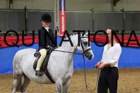 JLY-1033