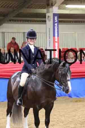 JLY-1067