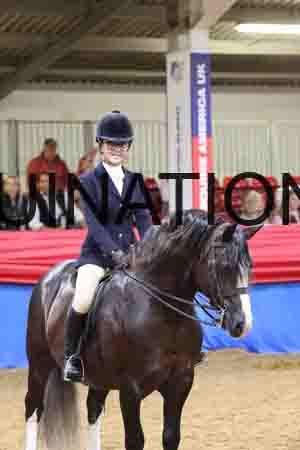 JLY-1068