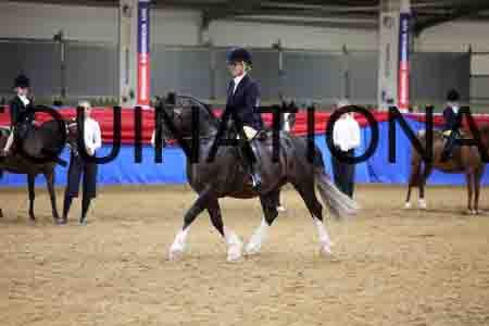 JLY-1111