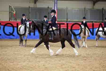JLY-1113