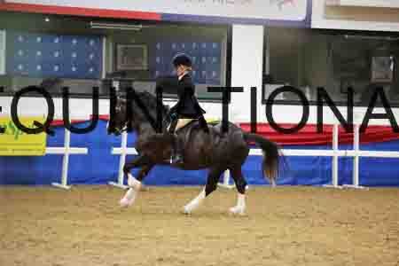 JLY-1115