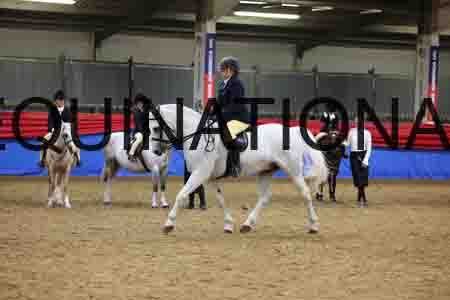 JLY-1117
