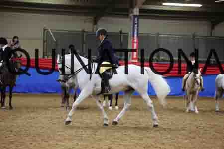 JLY-1118