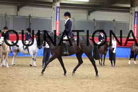 JLY-1125