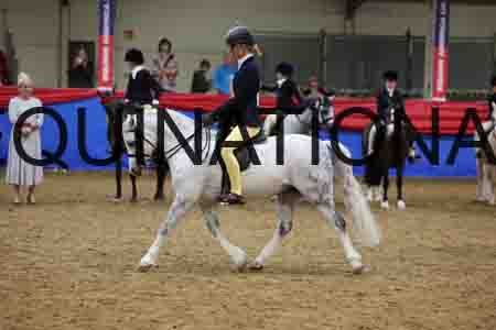 JLY-1134