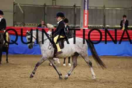 JLY-1146