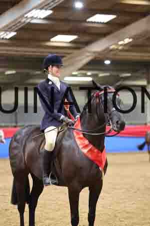 JLY-1191