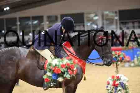 JLY-1206