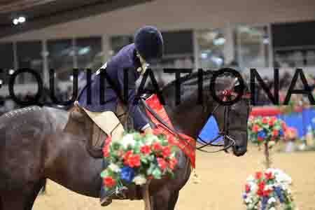 JLY-1207