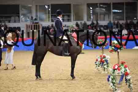 JLY-1214