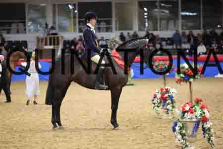 JLY-1219