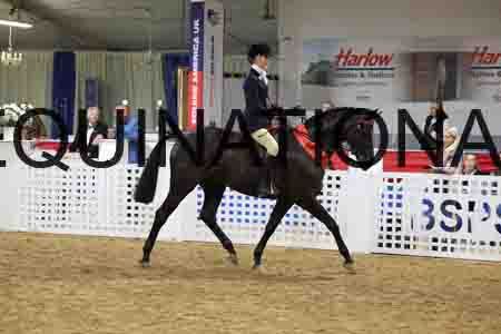 JLY-1229