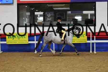 JLY-1245