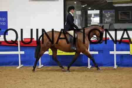 JLY-1251