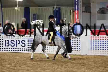 JLY-1259