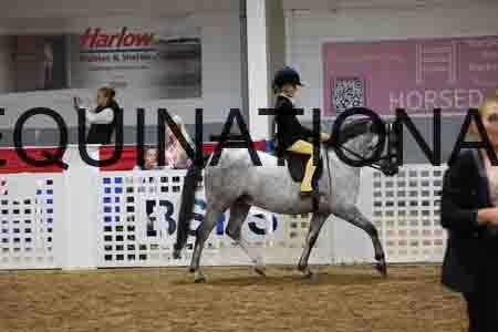 JLY-1268