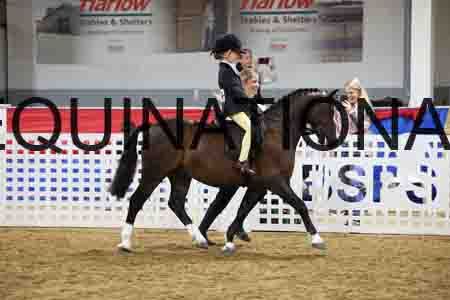 JLY-1271