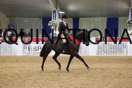 JLY-1279