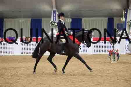 JLY-1280