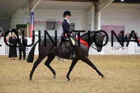 JLY-1282