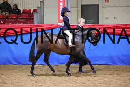JLY-1294