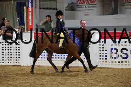 JLY-1378