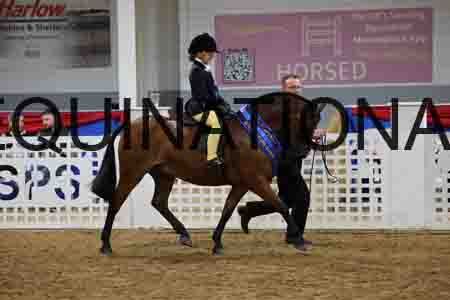 JLY-1379