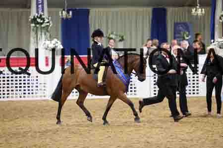 JLY-1393