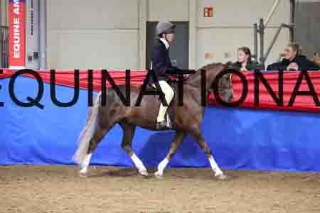 JLY-1407