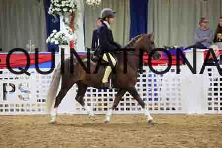 JLY-1418